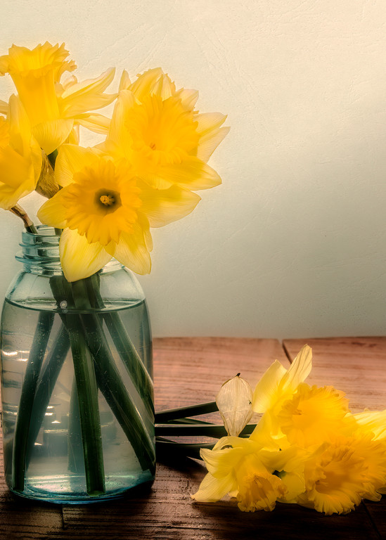 Daffodils in a Blue Jar Art | Shop Prints | Zigzag Mt Art
