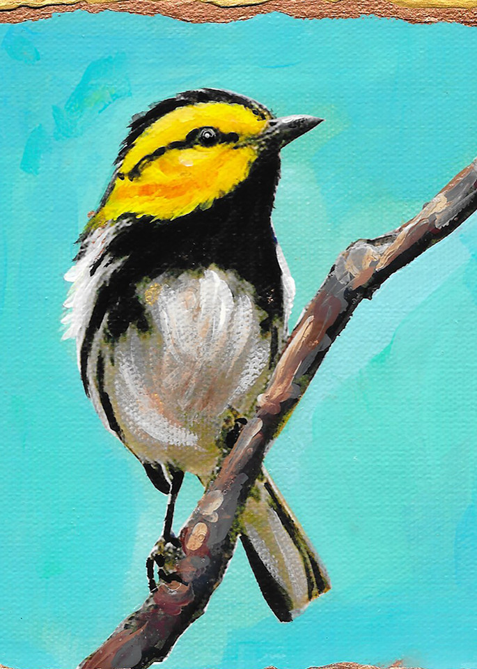 Golden Cheeked Warbler Art | Channe Felton Fine Art