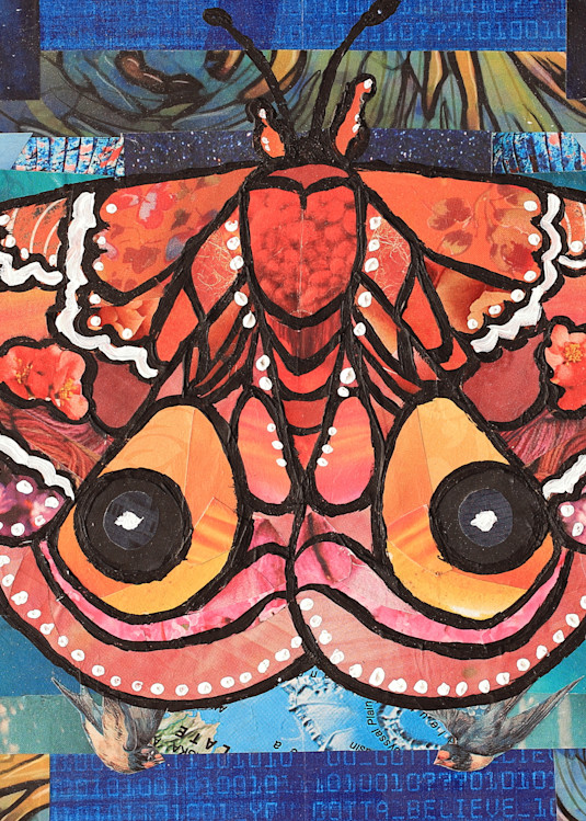 Io Moth Art | angelakriel
