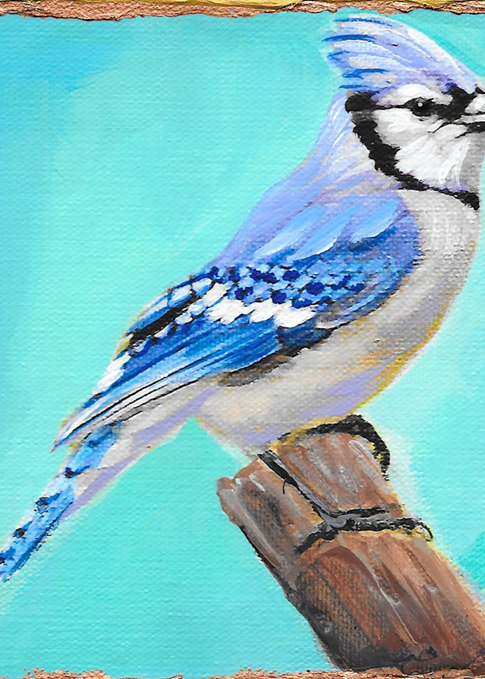 Blue Jay Art | Channe Felton Fine Art