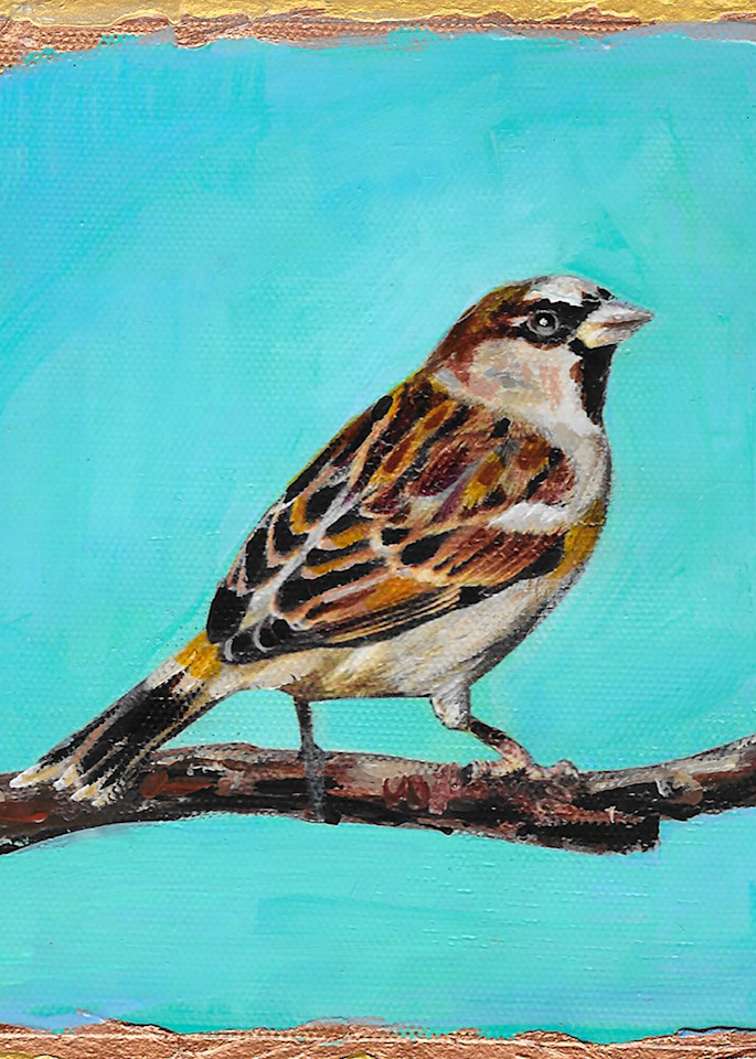 House Sparrow Art | Channe Felton Fine Art