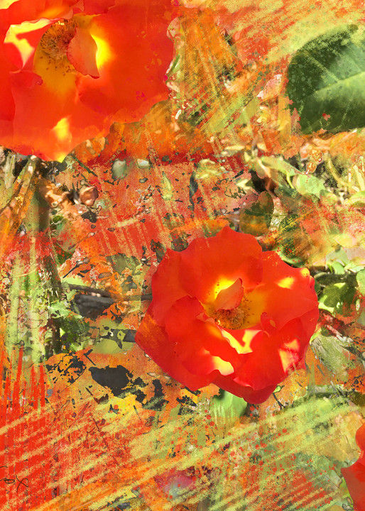 Red Hibiscus Art | Ashira Siegel Fox