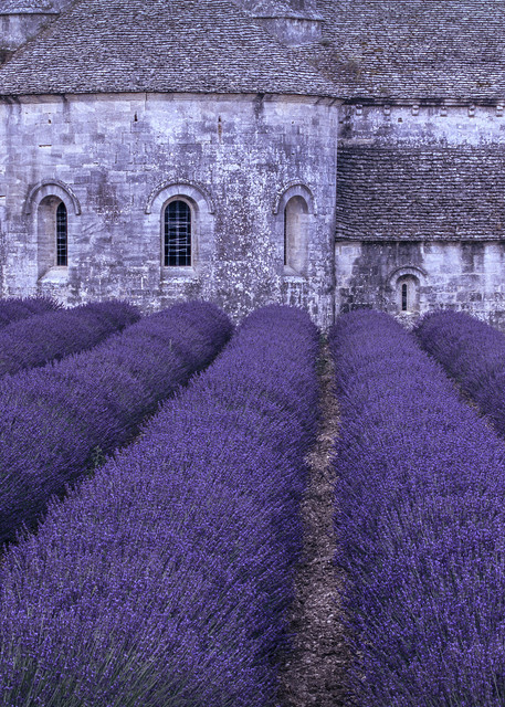 Lavender Abbey Photography Art | Greg Gawlowski Photography