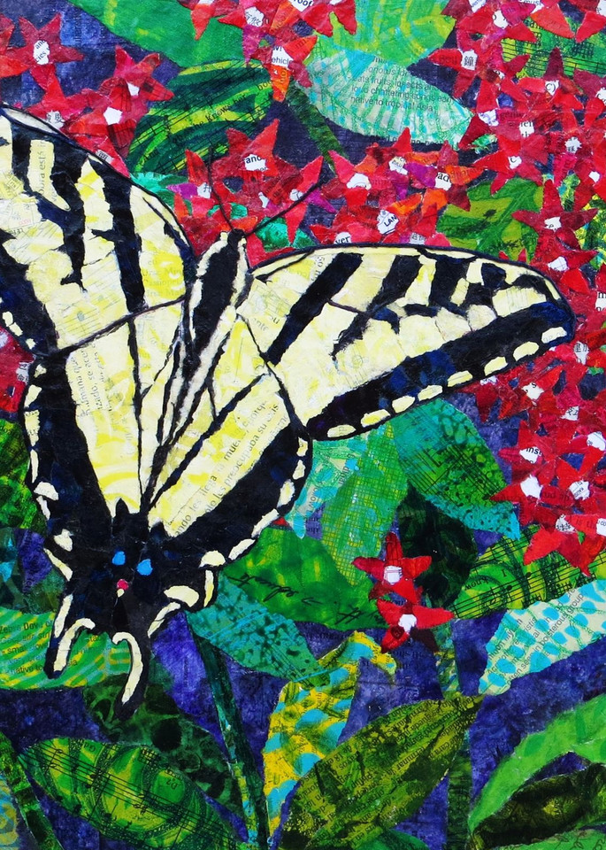 Catch A Tiger Swallowtail  Art | Poppyfish Studio