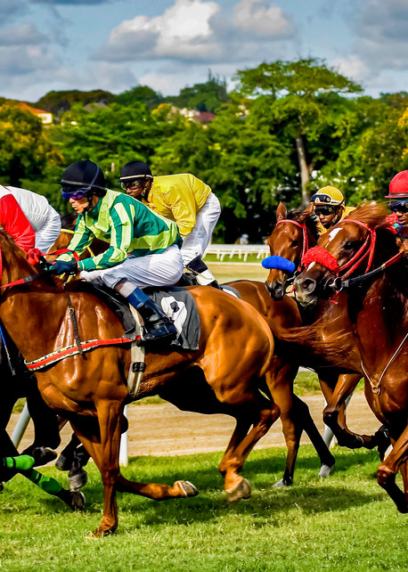 Barbados Horse Race Photography Art | Cardinal ArtWorks LLC