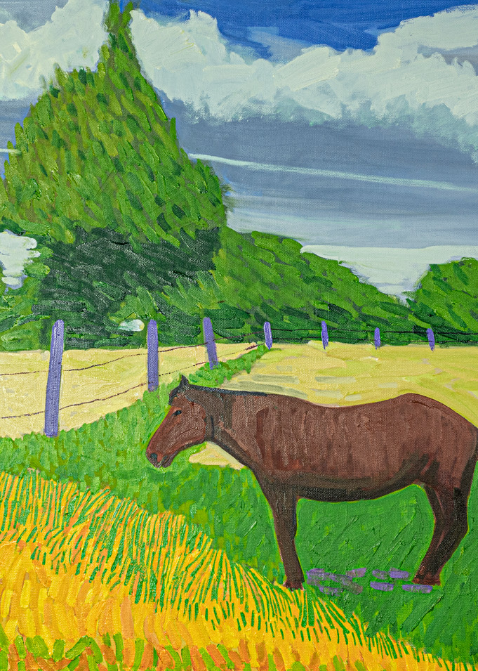 Horse In Corral Art | Studio Z of Taos