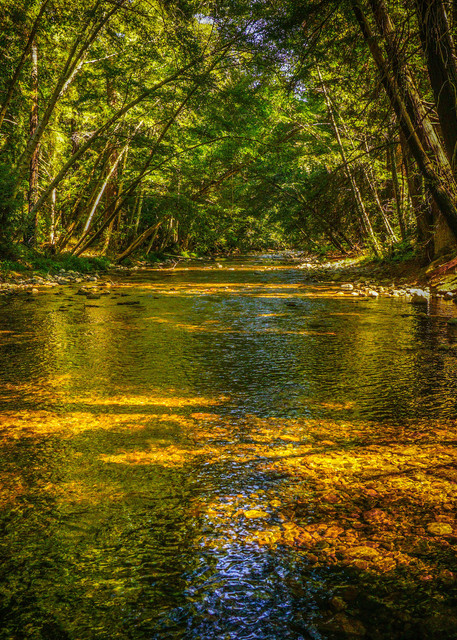 Peaceful Big Sur River @ Pfeiffer State Park Photography Art | Brad Wright Photography