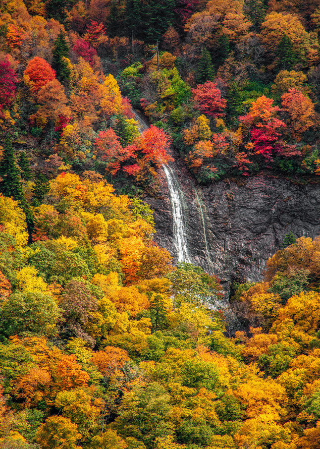 Autumn At Glassmine Falls Art | Red Rock Photography