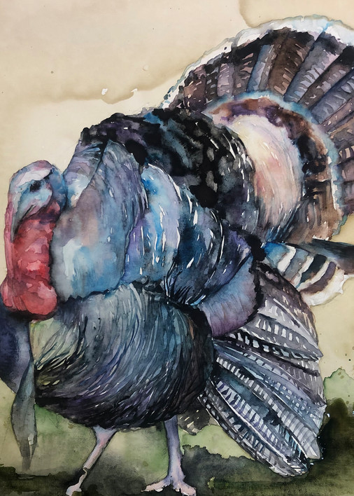 Wild Turkey Art | Christy! Studios