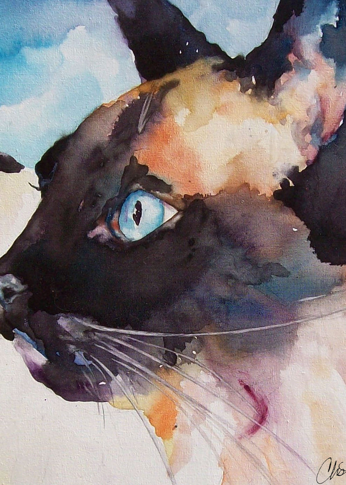 Seal Point Siamese Cat Art | Christy! Studios
