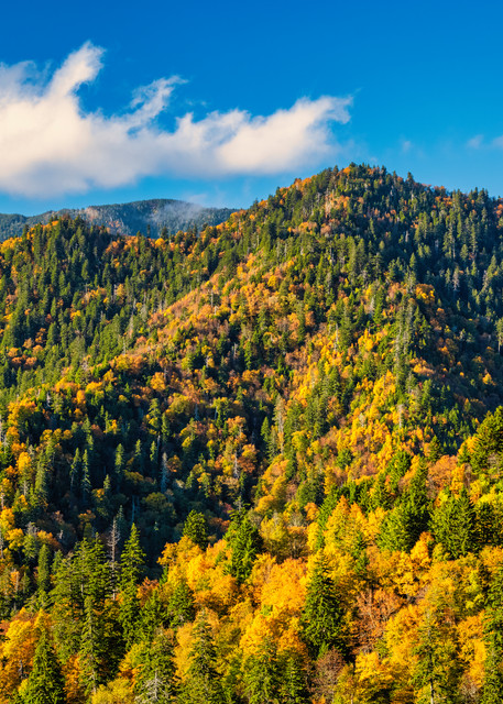 Golden Smokies - Smoky Mountains autumn fine-art photography prints