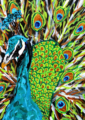 Peacock Displaying Art | RSchaefer Art