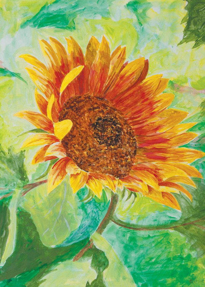 Sunflower Art | capeanngiclee