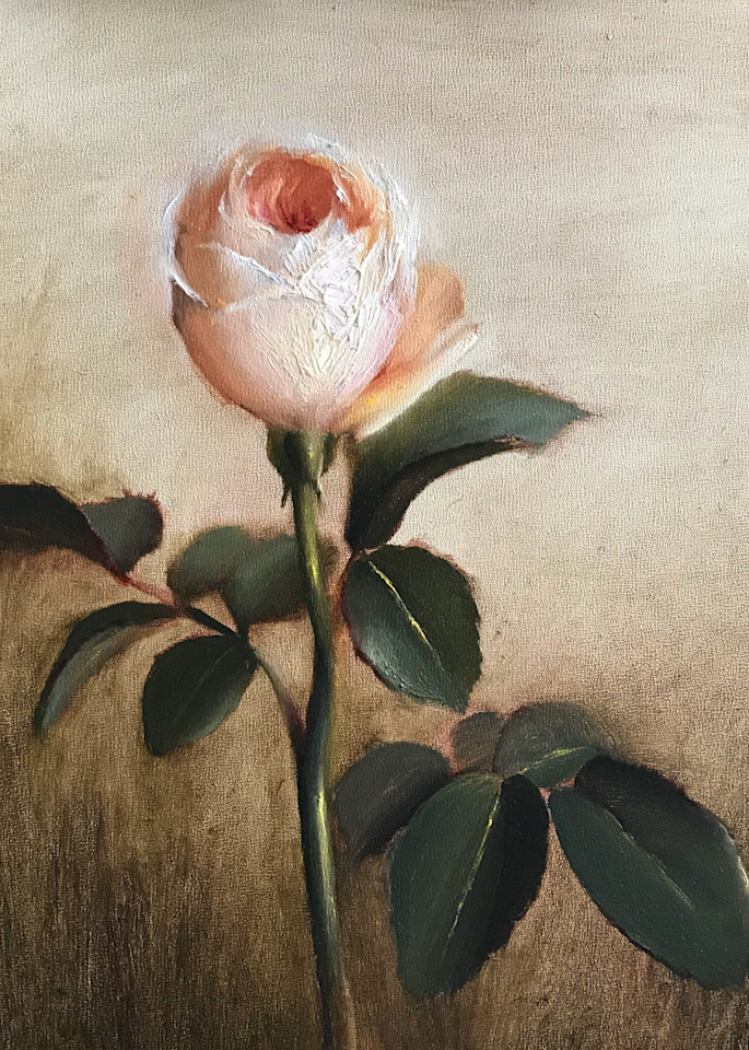Garden Rose Art | Cristina Goia