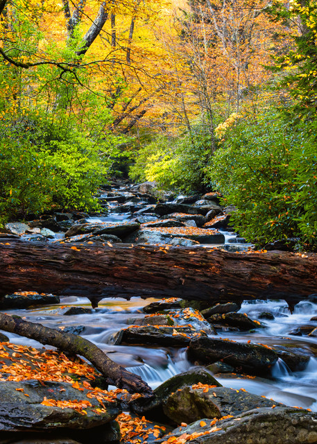 Smoky Mountains Refuge - Great Smoky Mountains National Park fine-art photography prints