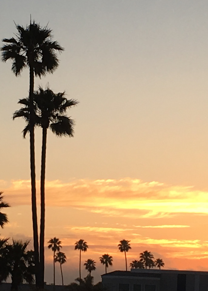 Southern California Palms at Sunset - art print - Dolores Esparza 
