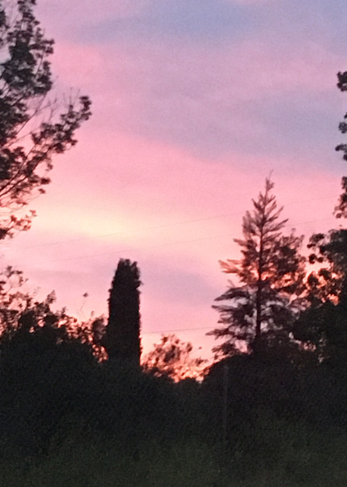 Pink Dusky Sky Over Southern California - an art print - Dolores Esparza