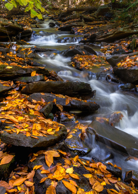 Autumn Flows Along Kitch Creek