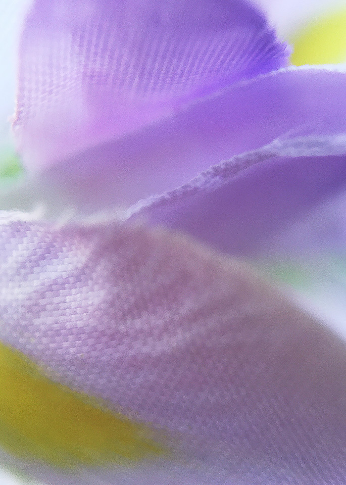 purple, flower, abstract, flora