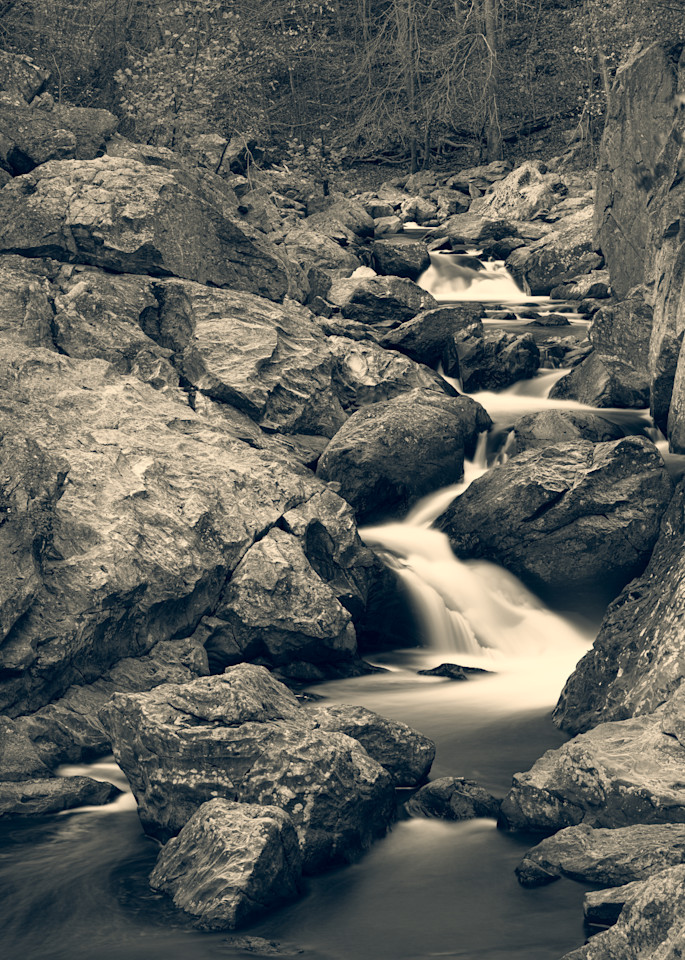 Nature Bw 1553 Photography Art | Dan Chung Fine Art