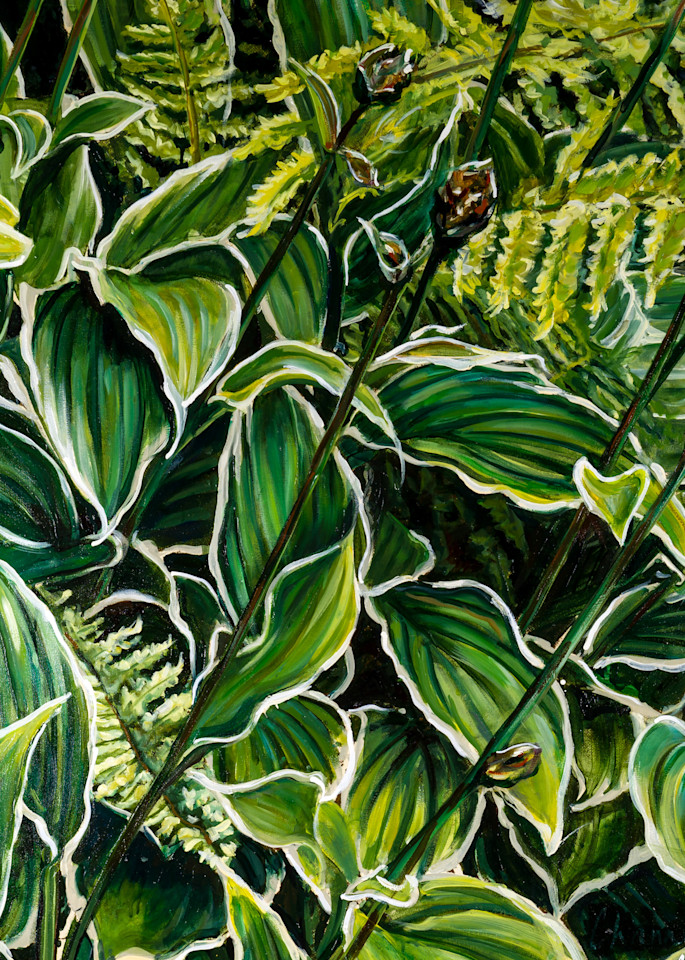 Rainforest 2 Art | Channe Felton Fine Art
