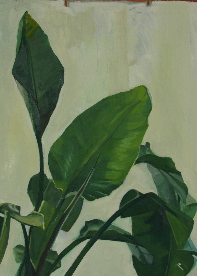 Study Of Leaves Art | Jono Wright Art