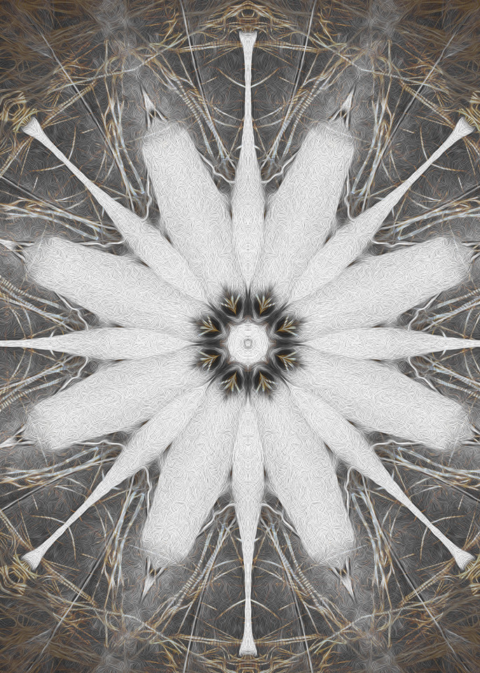 Nest & Hibiscus | Ghost Blossom Art | SkotoArt