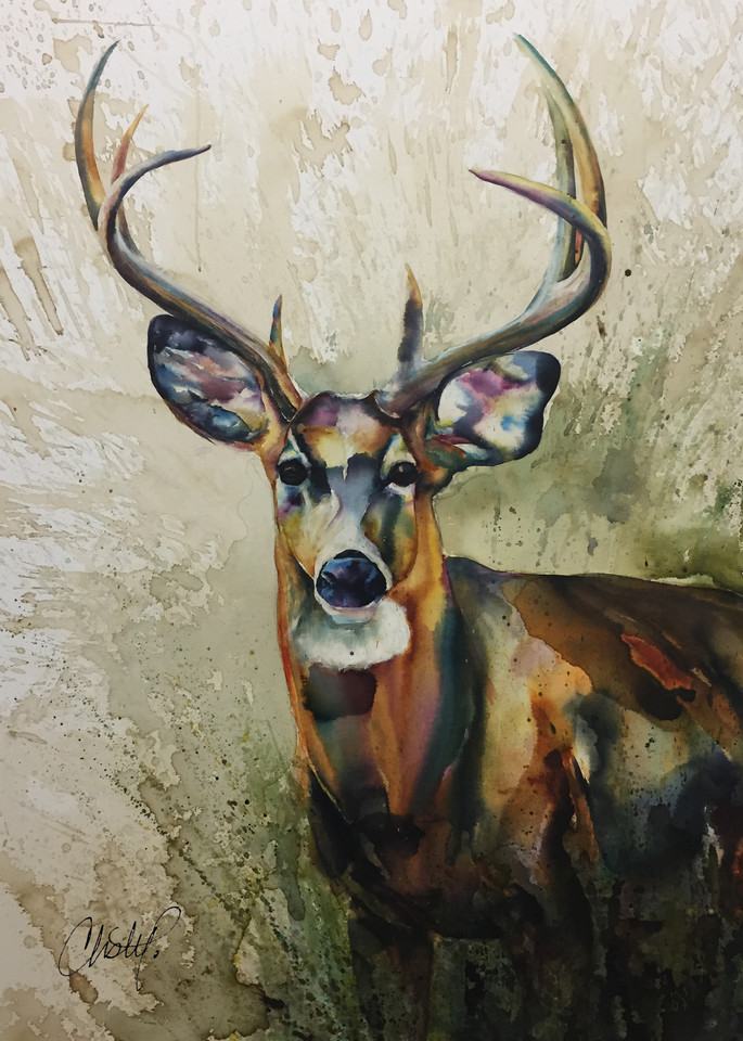 White Tailed Deer Watercolor  - Stag in Prairie