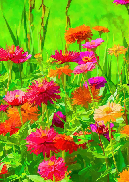 "Painterly Meadow" Photography Art | Inspired Imagez 