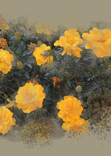 Marigolds Art | Art from the Soul