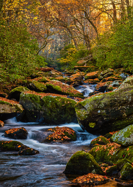 Crowned Santeelah Creek - Smoky Mountains autumn fine-art photography prints