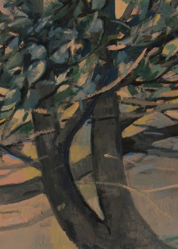 Favorite Tree At Jefferson Park Art | Jono Wright Art