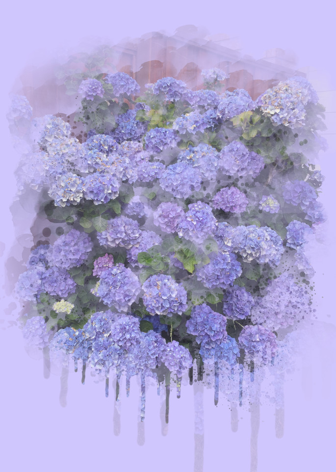 Hydrangea Bush Art | Art from the Soul