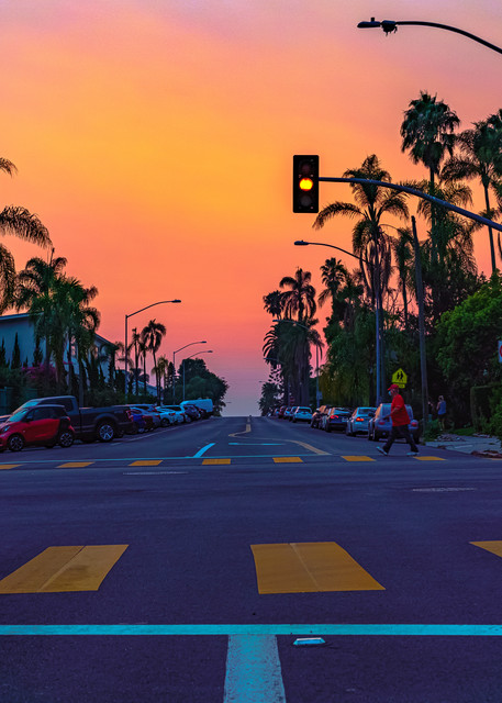 University Heights, San Diego at Park Wall Art Print by McClean Photography