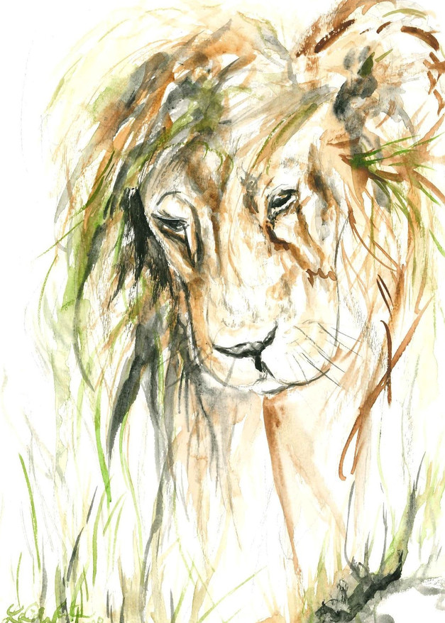 Lion In Grass Art | Lauren Walters Fine Art