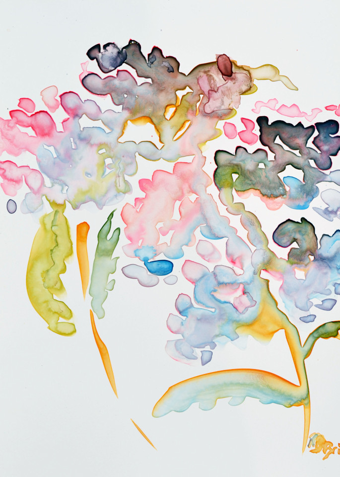Hydrangea Shadow Art | Color Splash Ranch
