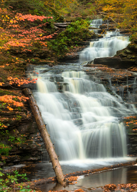 Mohican Falls Ricketts Glen Autumn Waterfall Fall