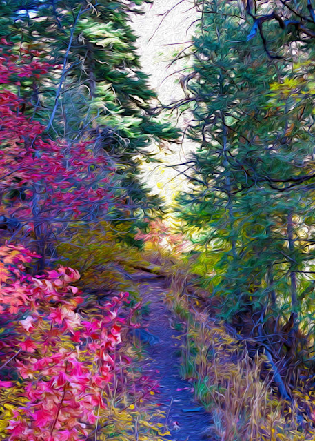 Purple Path Art | Oz Fine Art Studio
