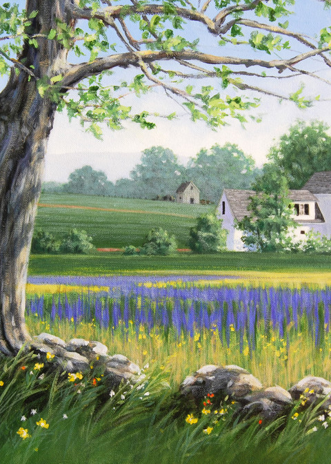 purple, flowers, field, spring