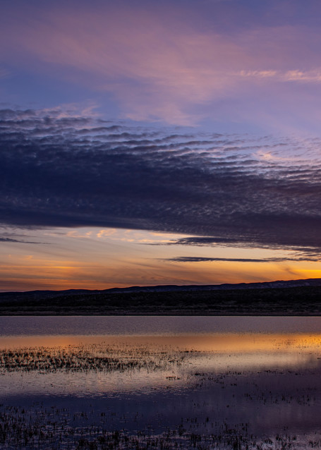 Dawn On The Bosque Photography Art | Kathleen Messmer Photography