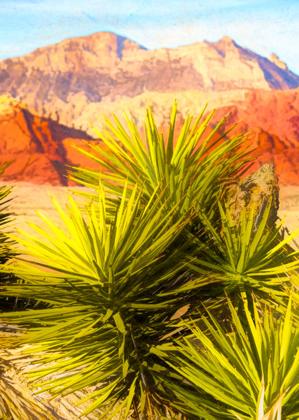 Red Rock Canyon   Mojave Desert Photography Art | Pam Phillips Photography