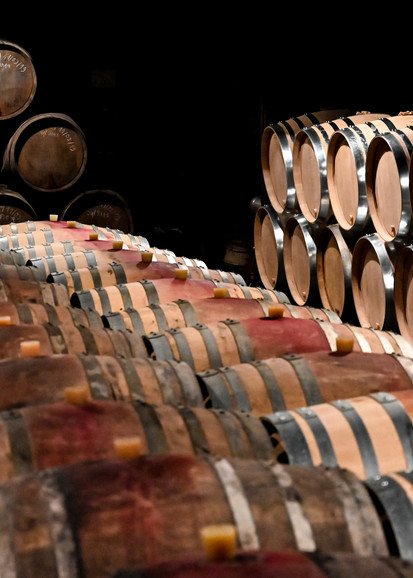 France New And Old Wine Barrels Ii Photography Art | Steve Rotholz Photography
