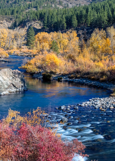 Autumn Glow, Truckee River -  Limited Edition Photographic Print
