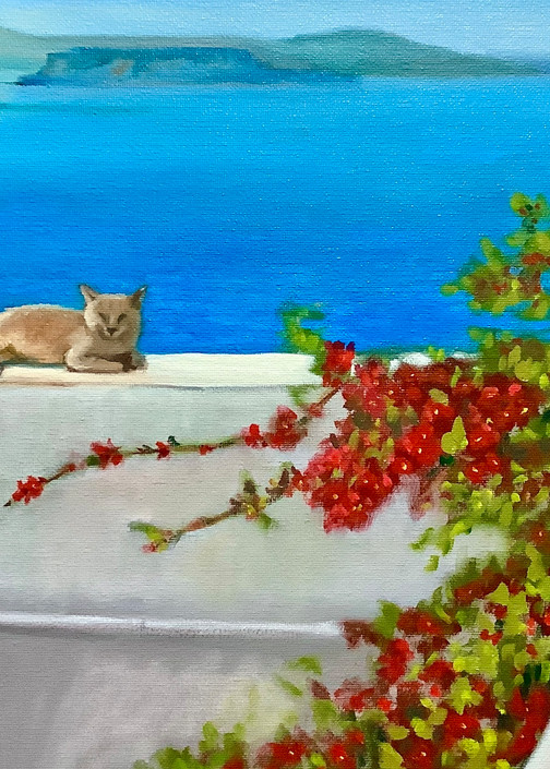 Cat on a wall by the Aegean Sea by Contemporary Artist Hilary J England