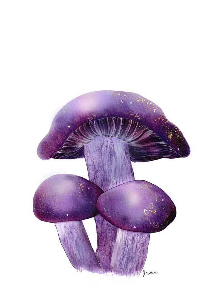 Golden Wood Blewits  Art | Cool Art House - online art gallery with hip emerging artists. Collect cool art you can view on your own wall before you invest!