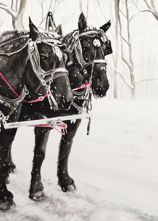 Rideau Hall Horse Team Art | Julie Berthelot
