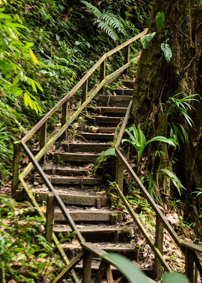 Jungle Stairs Art | Thriving Creatively Productions
