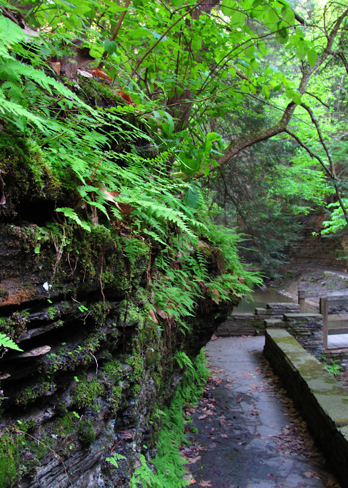 Buttermilk Falls Ny 65 May 2018 Art | Lillith