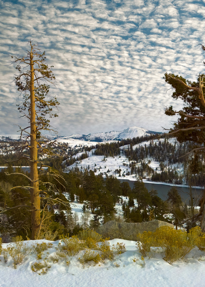 Sierra First Snow Photography Art | FocusPro Services, Inc.