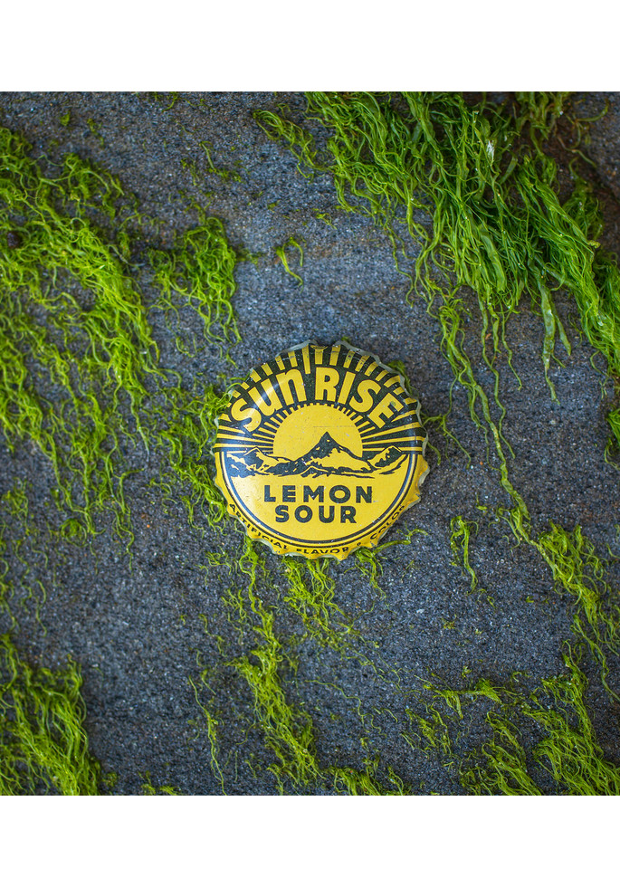 Sun Rise   Seal Rock, Or Photography Art | Joel Fischer Photography